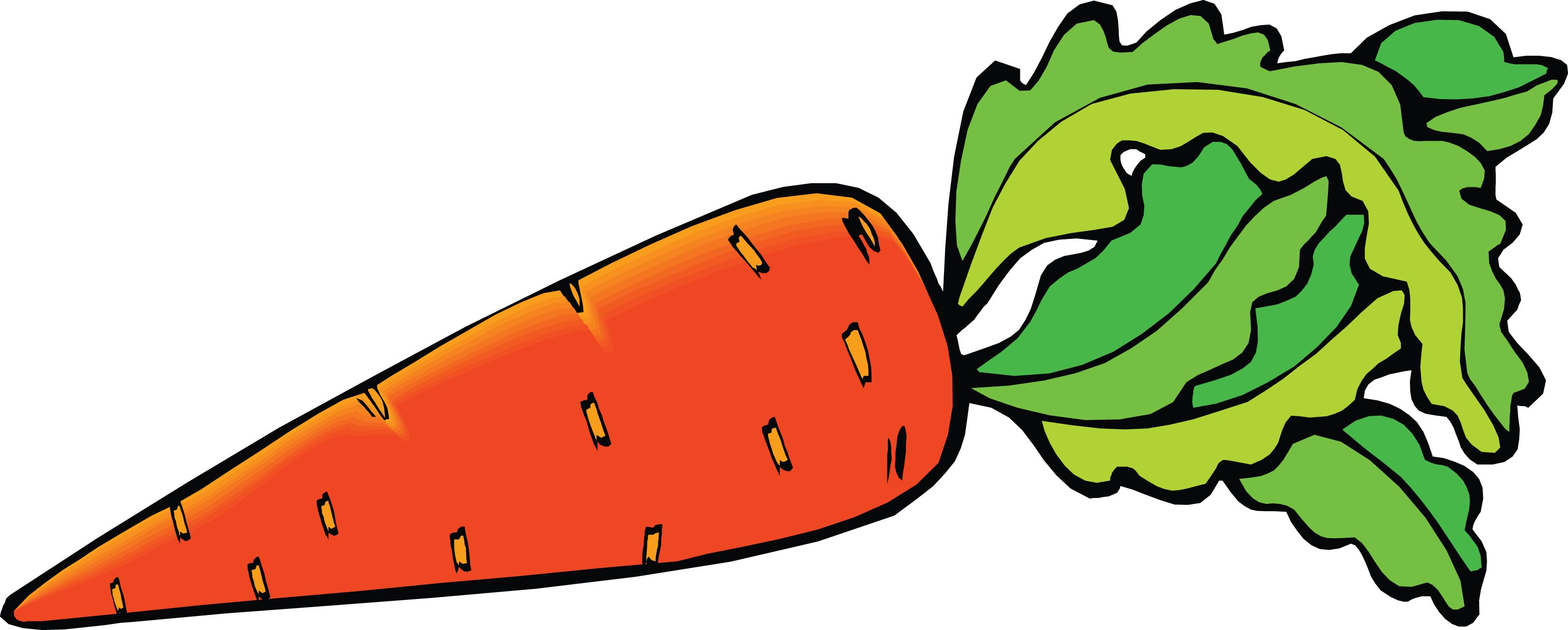 clipart carrot - photo #36