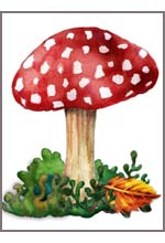 Клипарт - грибы
